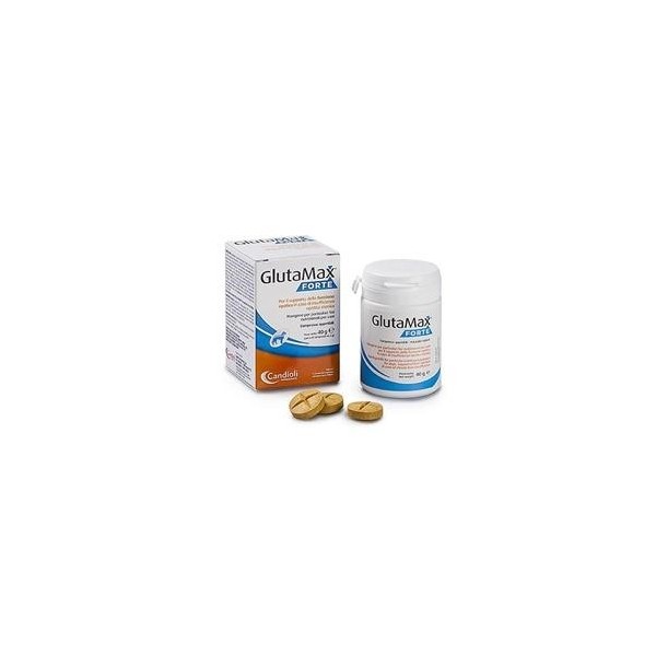 GLUTAMAX FORTE 20 COMPRESSE