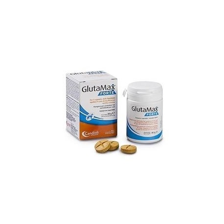 GLUTAMAX FORTE 20 COMPRESSE