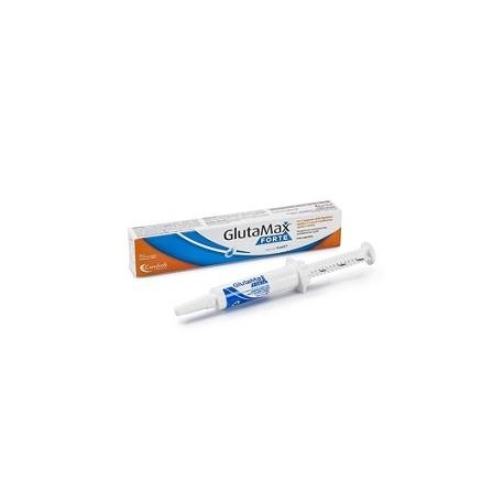 GLUTAMAX FORTE PASTA SIRINGA 15 ML