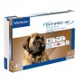 EFFIPRO DUO CANI 40-60 KG 4 PIPETTE SPOT-ON  