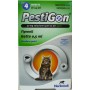 PESTIGON SPOT ON 4 PIPETTE 50 MG GATTI