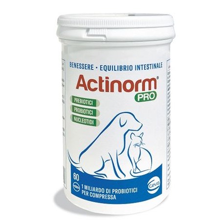 ACTINORM PRO 60 COMPRESSE