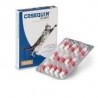 COSEQUIN GATTI 15 CAPSULE