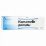 HAMAMELIS POMATA 50 GR HEEL