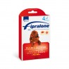FIPRALONE SPOT ON  CANI 40-60KG  4 PIPETTE 402 MG   EX-FIPROLINE