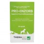 PRO ENZORB 60 CAPSULE