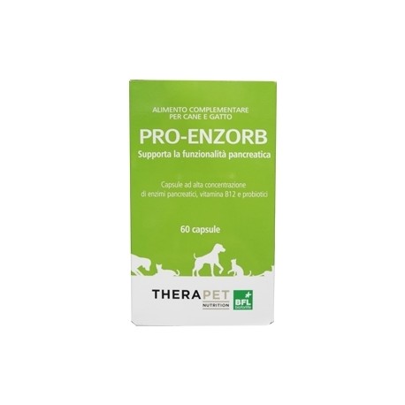 PRO ENZORB 60 CAPSULE