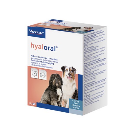 HYALORAL 120 COMPRESSE