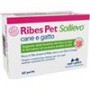 RIBES PET SOLLIEVO 60 PERLE