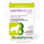 LACTORELAX JELLY 18 GELATINE
