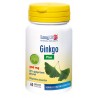 LONGLIFE GINKGO  PLUS 60 TAVOLETTE