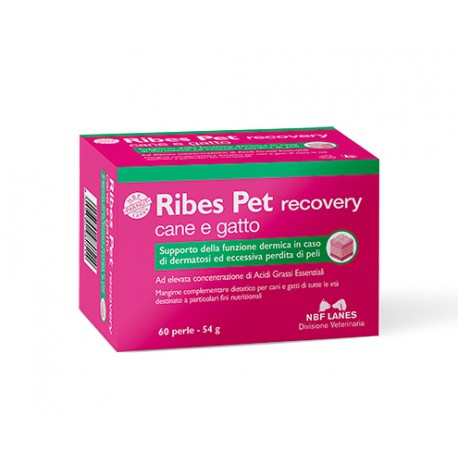 RIBES PET RECOVERY 60 PERLE