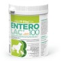 ENTEROLAC POLVERE 100 GR