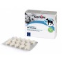 IMMODULA 60 COMPRESSE - EX LEISTABS PROTECTION