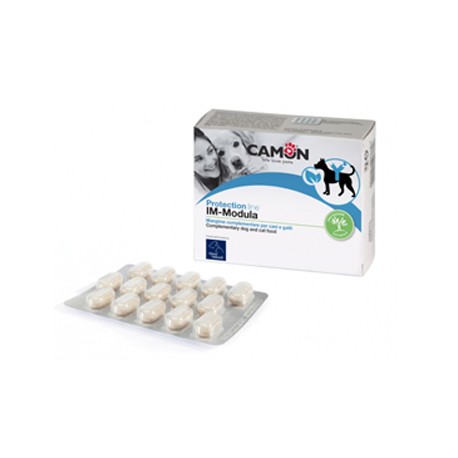 IMMODULA 60 COMPRESSE - EX LEISTABS PROTECTION