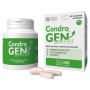 CONDROGEN 60 CPR. APPETIBILI