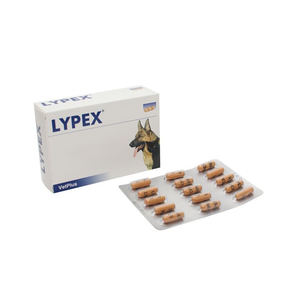 LYPEX 60 CAPSULE