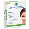 BIOCOLLAGENIX EYE PATCH 10 PZ