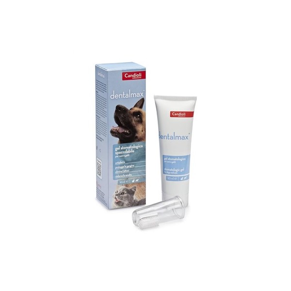 DENTALMAX GEL STOMATOLOGICO 50 ML