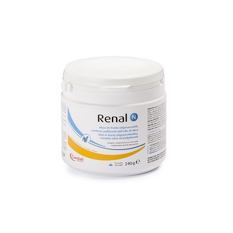 RENAL N 240 GRAMMI