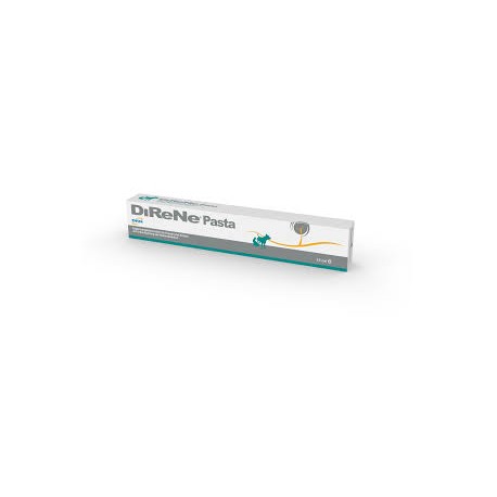 DIRENE PASTA 15 ML