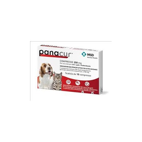 PANACUR 10 COMPRESSE 250 MG