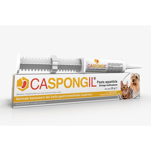 Caspongil pasta 30 g