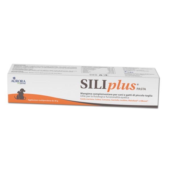 SILIPLUS PASTA 30 G