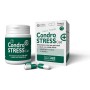 CONDROSTRESS + CAT 30 CAPSULE