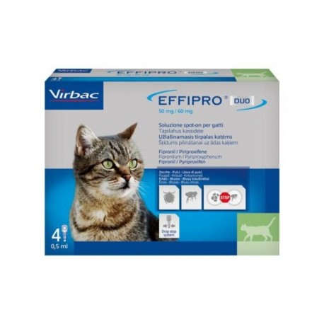 EFFIPRO DUO GATTI 4 PIPETTE SPOT-ON 