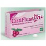 CISTIFLUX FAST 14 COMPRESSE