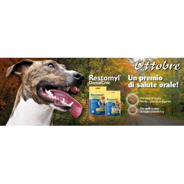 RESTOMYL  DENTALCROC 150 GR